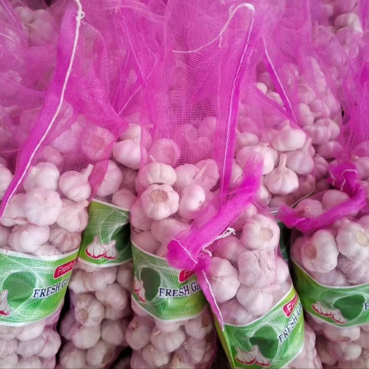 Свежий чеснок нормальный белый 2 8 кг/3 5 кг до ОАЭ Саудовской Аравии