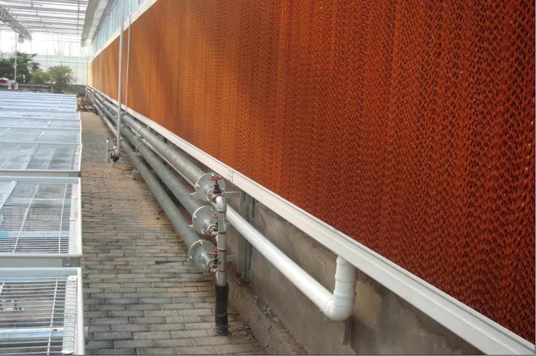 Wed Pad for Simple.jpg