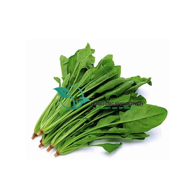 Wholesale Kelp powder with best price / sea weed powder