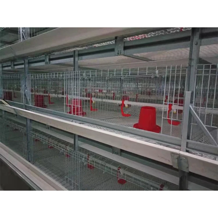 Cheap Price Chicken House Layer Used Farm Poultry Breeding Special Cages