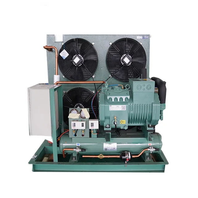 Customized high-efficiency piston refrigeration compressor cold chamber condensing unit