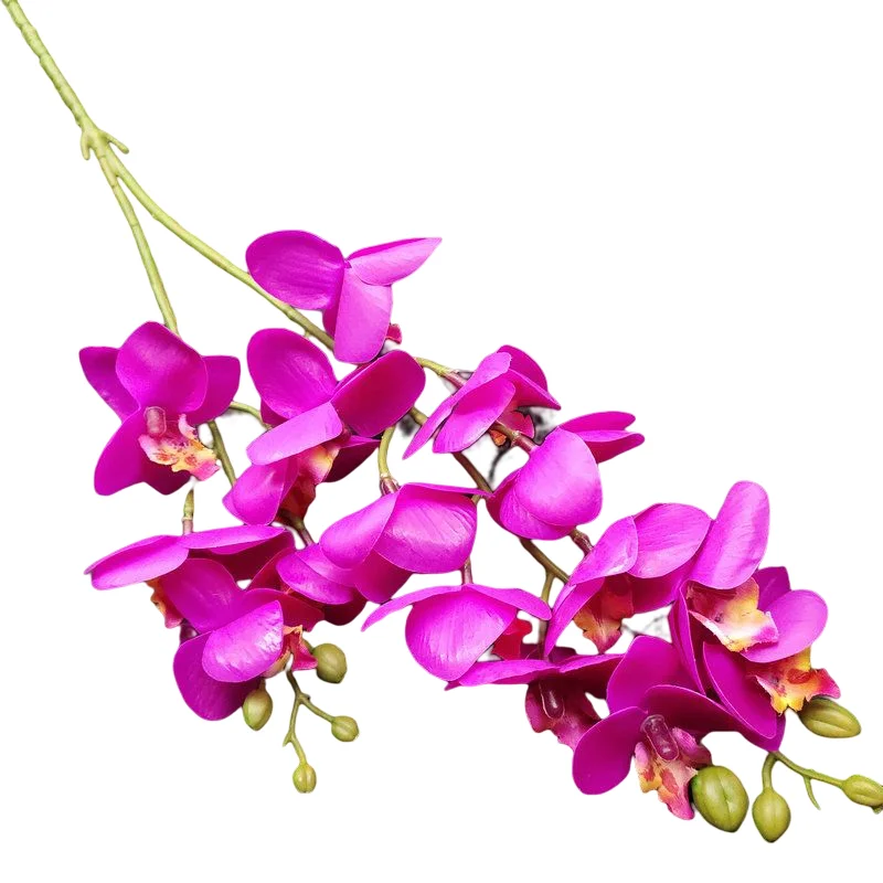 Wedding Decor 2 Forks 16 Heads 3D Printing Phalaenopsis Orchid Real Touch The Simulation Flower