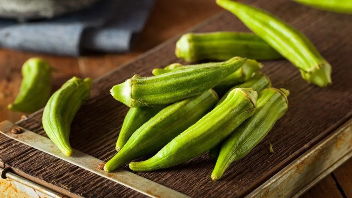 FRESH OKRA WITH EXCELLENT PRICE AND HIGH QUALITY FOR EXPORTING FROM VIETNAM