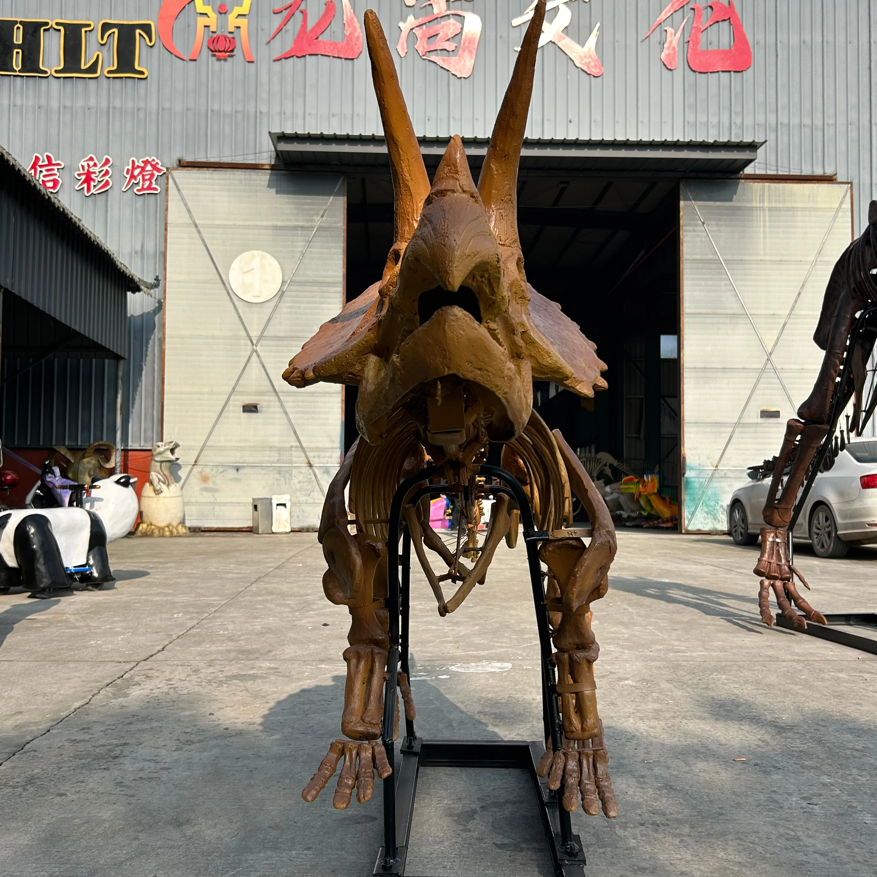 High Quality Custom Large Triceratops Resin Skeleton Model Museum Ornaments Teaching Props Indoor Garden Use Dinosaur Skeleton