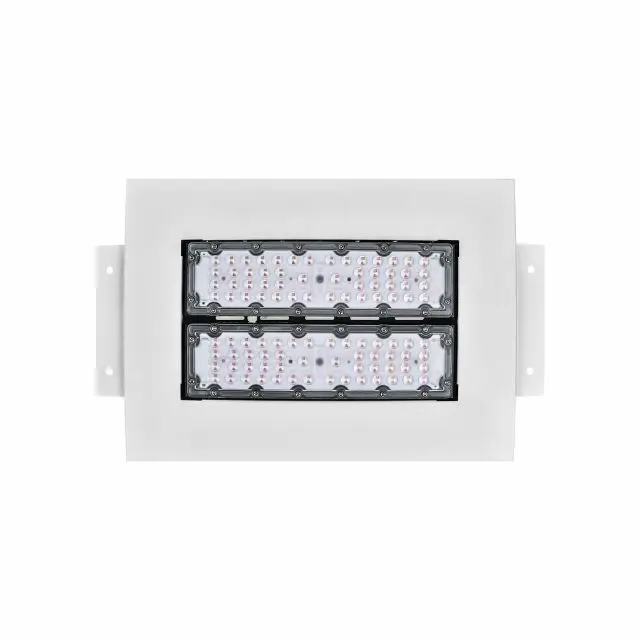 High Brightness Energy-Efficient Ultra Durable 100W led canopy light for outdoor gas station