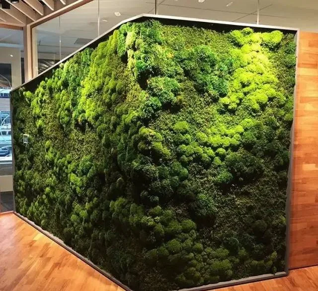 HFloral Wholesale decoration Massive Moss decorative flowers reasonable price preserved moss panel for wall garden decoration