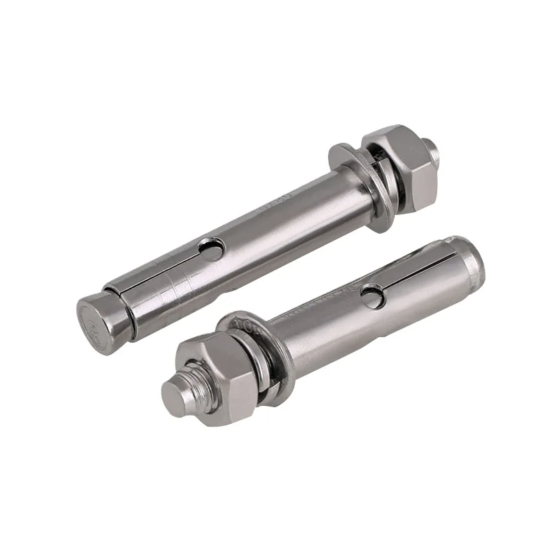 Customized SS316 SS304 M6 M5 M12 Drop In Expansion Anchor Hex Bolts