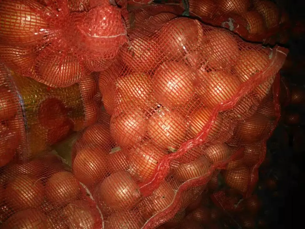 Желтый свежий лук по самой низкой цене