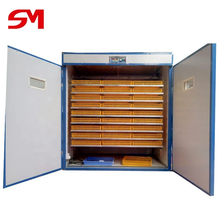Economical And Practical Automatic Incubator 24 Capacity 112 1000 Eggs
