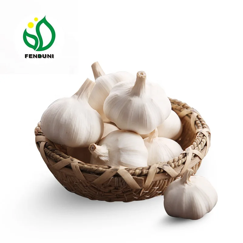 
Supply Fresh Chinese White Garlic New Crop Bawang Putih in Low Price 