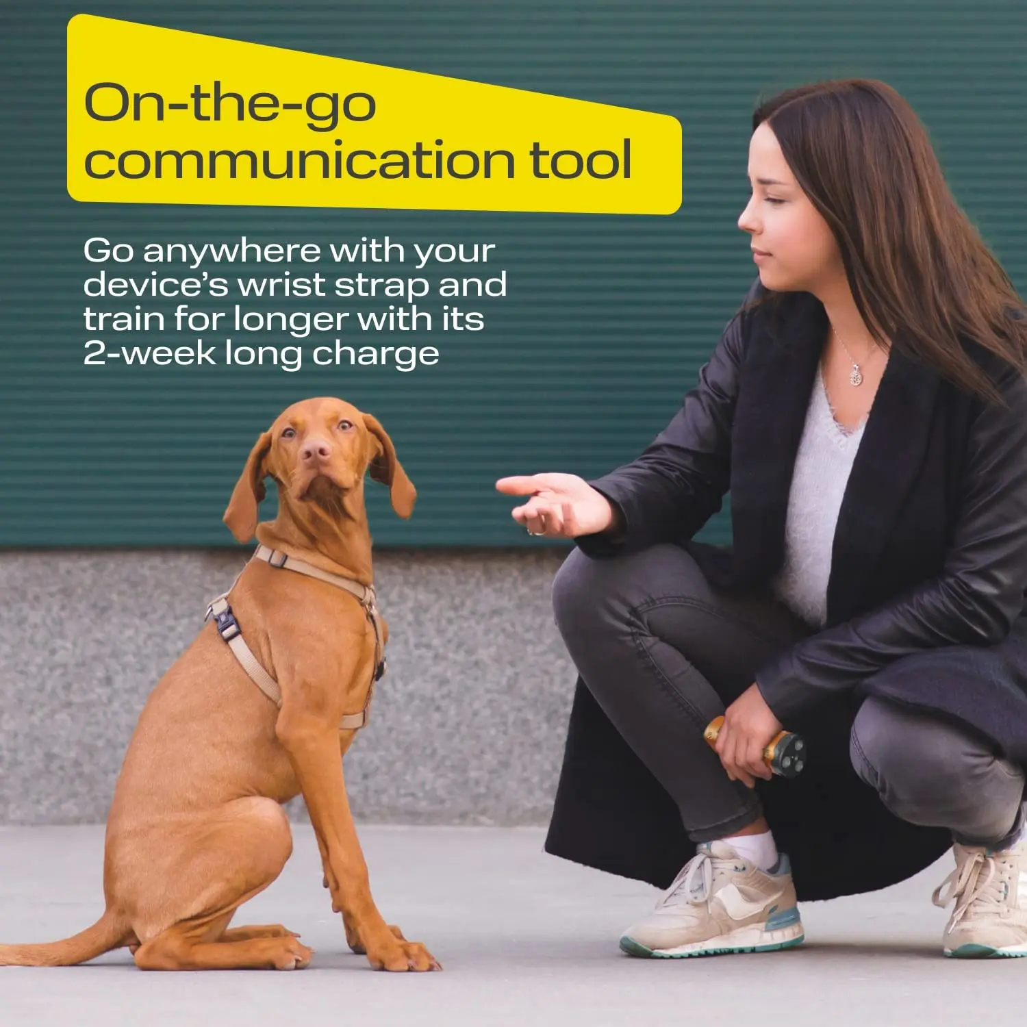 Dog Barking Control Device 49 Feet Range Ultrasonic Dog Repeller Ultrasonic Anti-Barking Device with Flashlight