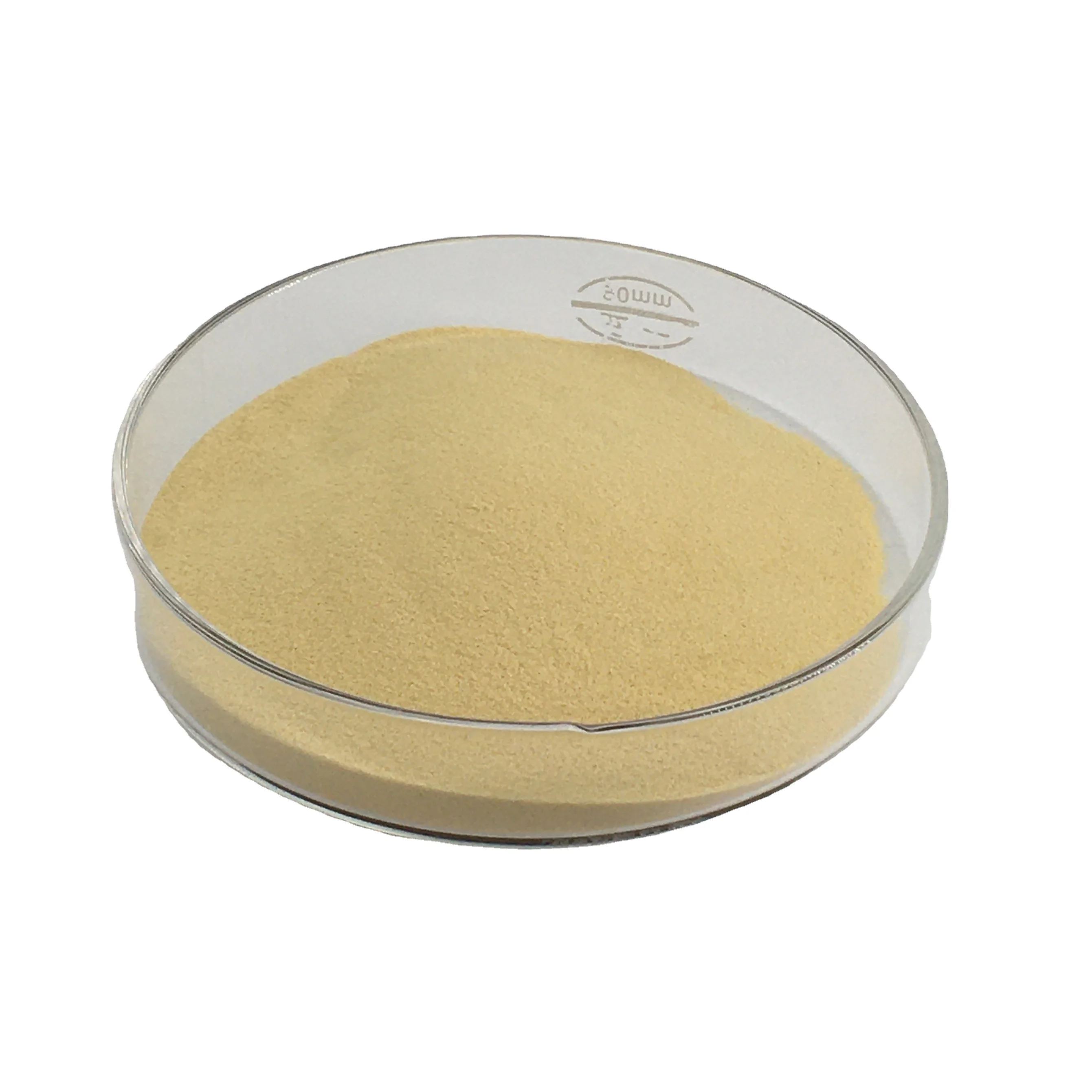 Food Supplement Organic Pea Protein Powder