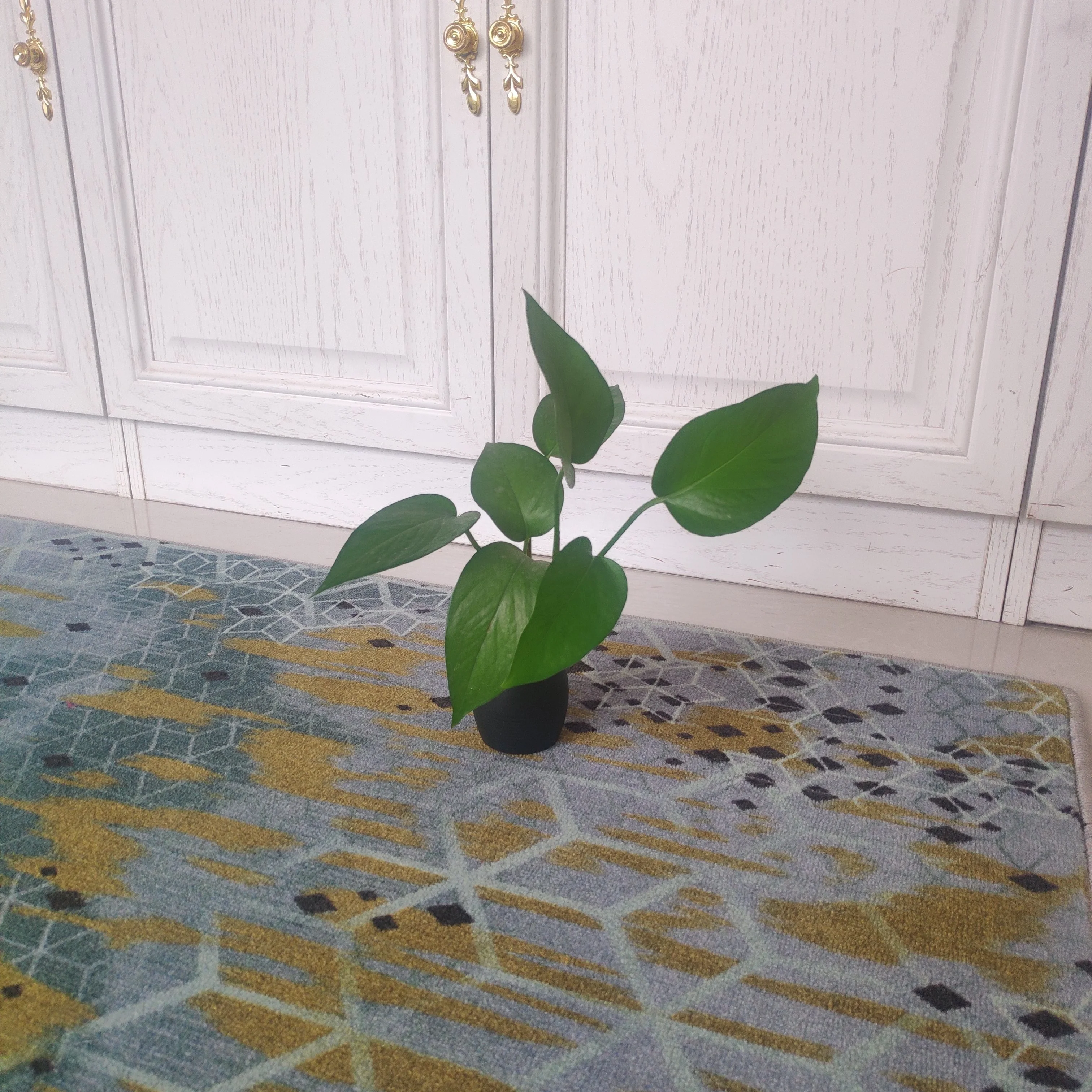 Promotional Various Durable Using Sound Absorption Carpit Carpets Cushion Living Room Anyuqing Carpet Modern Machine Programming