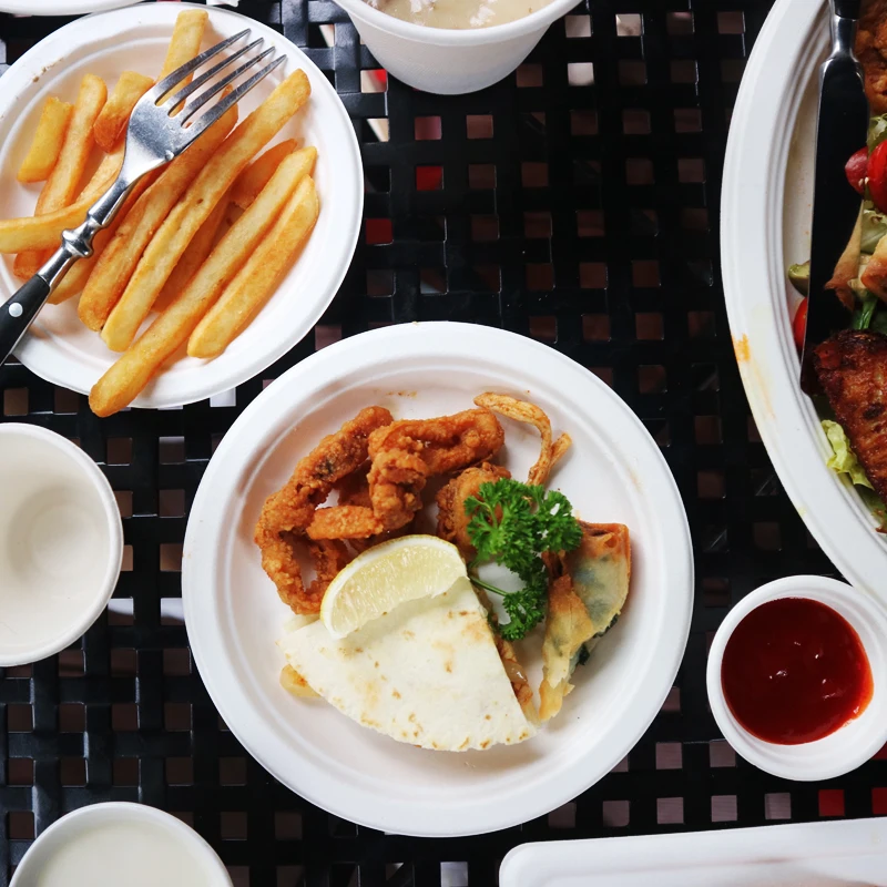 9 Inch Disposable Eco Friendly Plate Sugarcane Bagasse Plates Oval Shape Compostable Platter