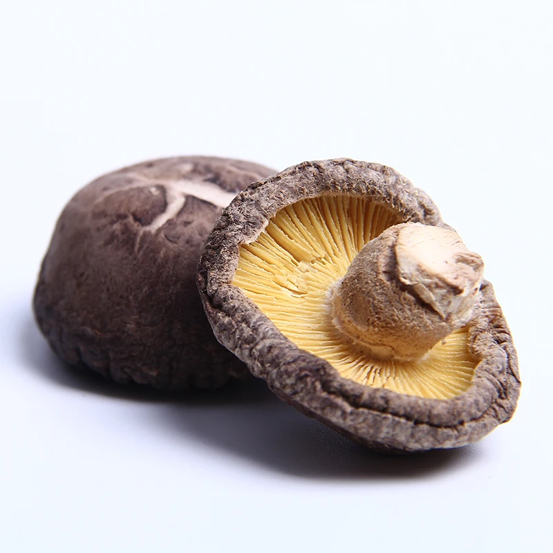Органические сухие грибы Shiitake оптовая продажа органические 2-3 см