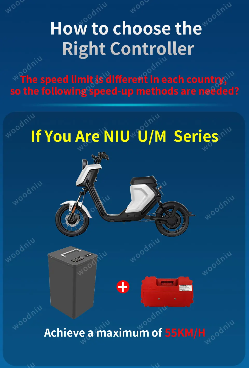 NIU--_12.jpg