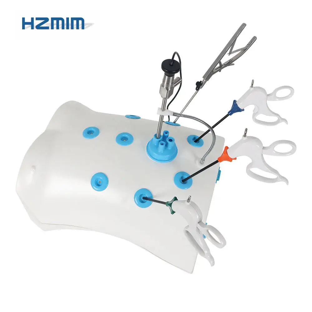 Advanced Laparoscopic Trainer Box with HD 1080P Endoscope Camera with 4 Training Instrument And Modules Laparoscopic Simulator