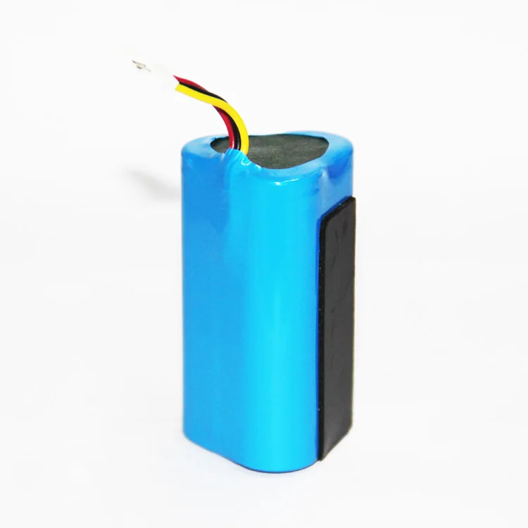 24 Volt Lithium Ion Battery Pack 12 Volt 2000 amp 100 amp hour Lithium Battery