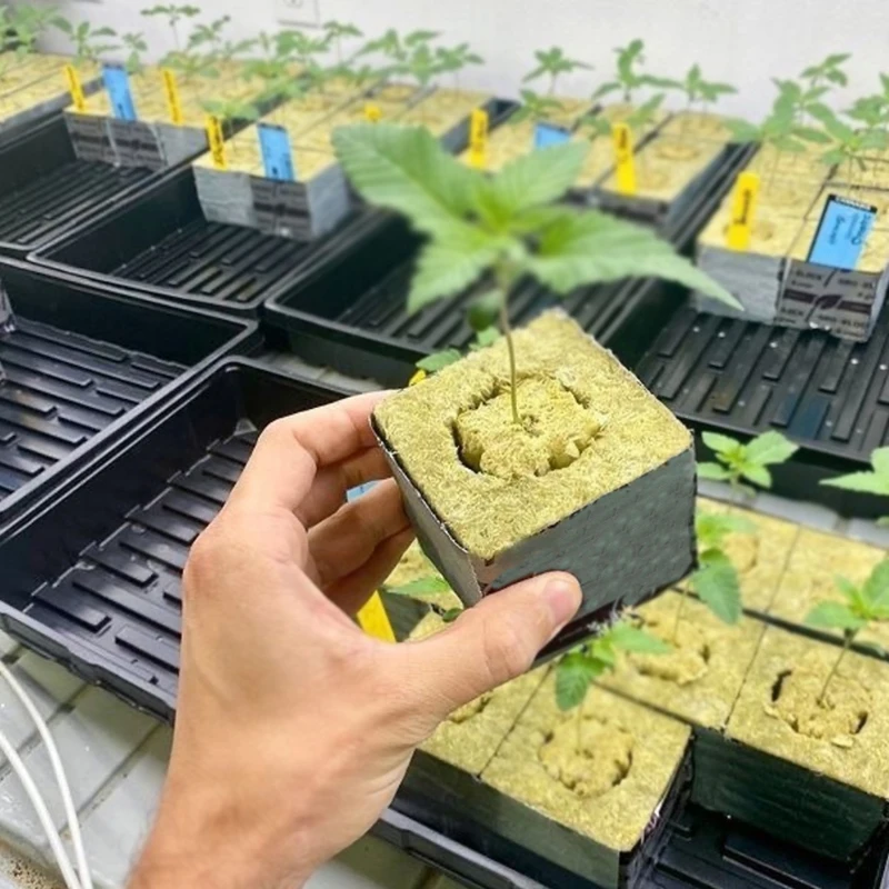 Free Sample Storage Container Irrigation Cheap Indoor Hydroponics Plant Seed Vertical Leaf Smart Farming Grow Box