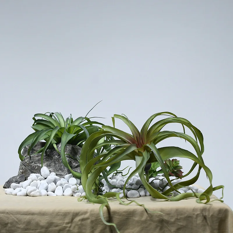 Simulation flocking air bromeliads large desert succulents Nordic decorative project cloth landscape collocation