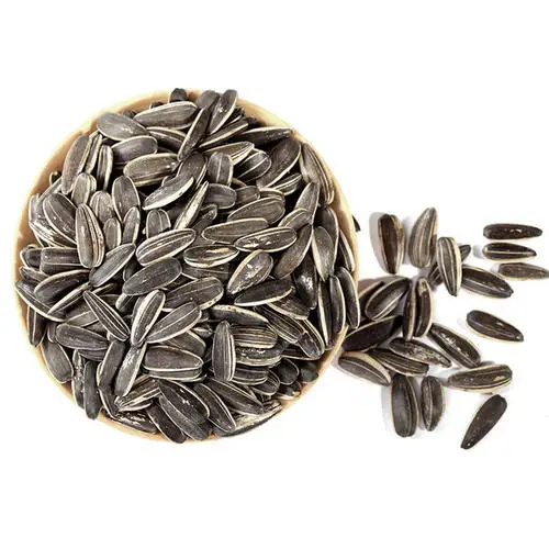 China raw sunflower seeds bulk