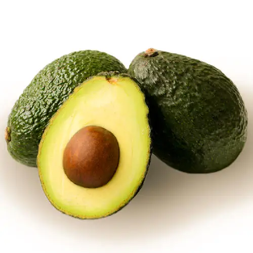 
Best Quality Fresh Mexican Hass Avocado Fruit 