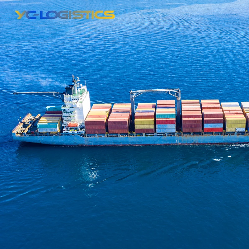 cheap sea freight from china to australia shipping rates from china to usa ddp service free shipping new zealand