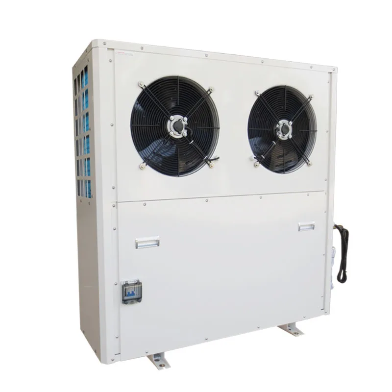 R410a/R32 Evi Technology Heat Pump Air Source Heat Pump Efficiency At Low Ambient Heating Bomba De Calor R290