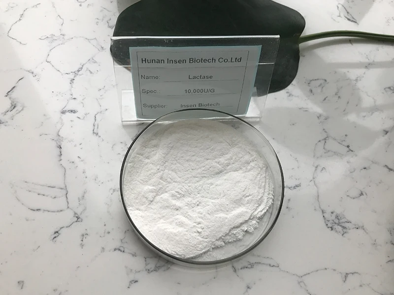 Insen Supply Best Lactose Monohydrate Lactose Price