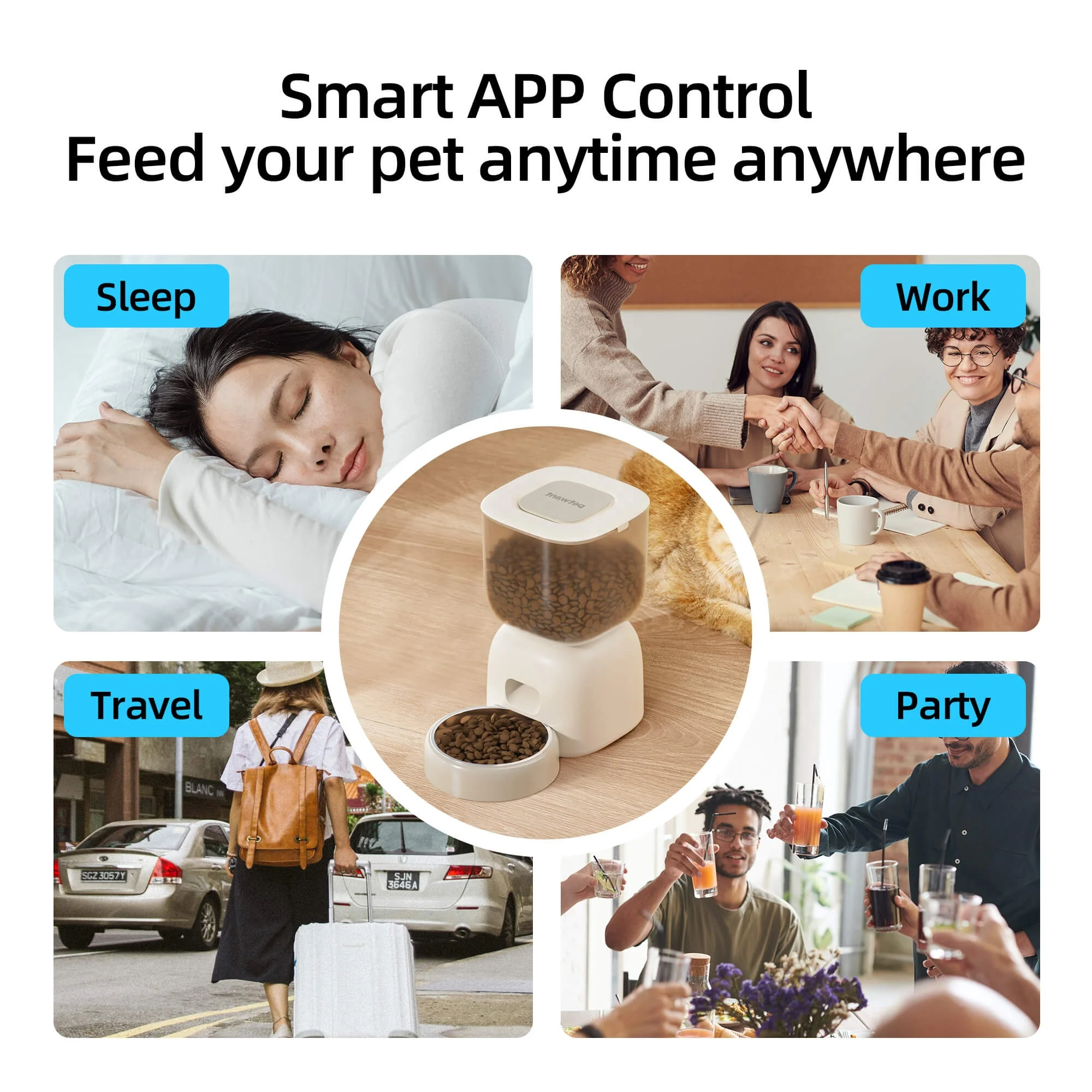 Petwant Factory Price Wholesales 3L Smart Visual Dual Power Supply Stainless Steel Bowls Cat Dog Pet Automatic Feeder