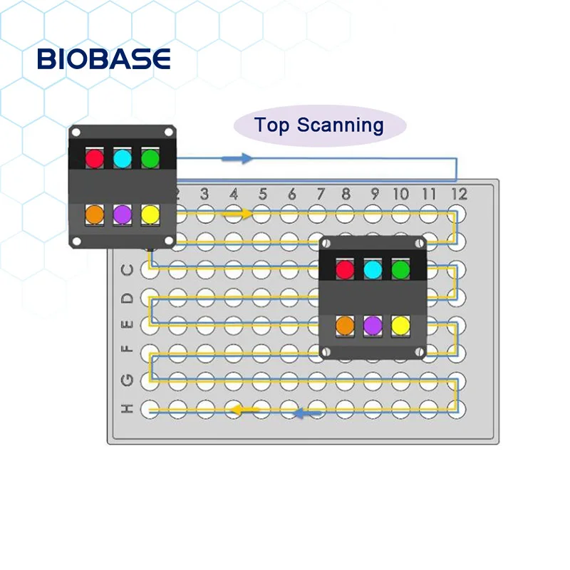 BIOBASE China Fluorescent Quantitative PCR Detection System with pcr test kit rapid Price