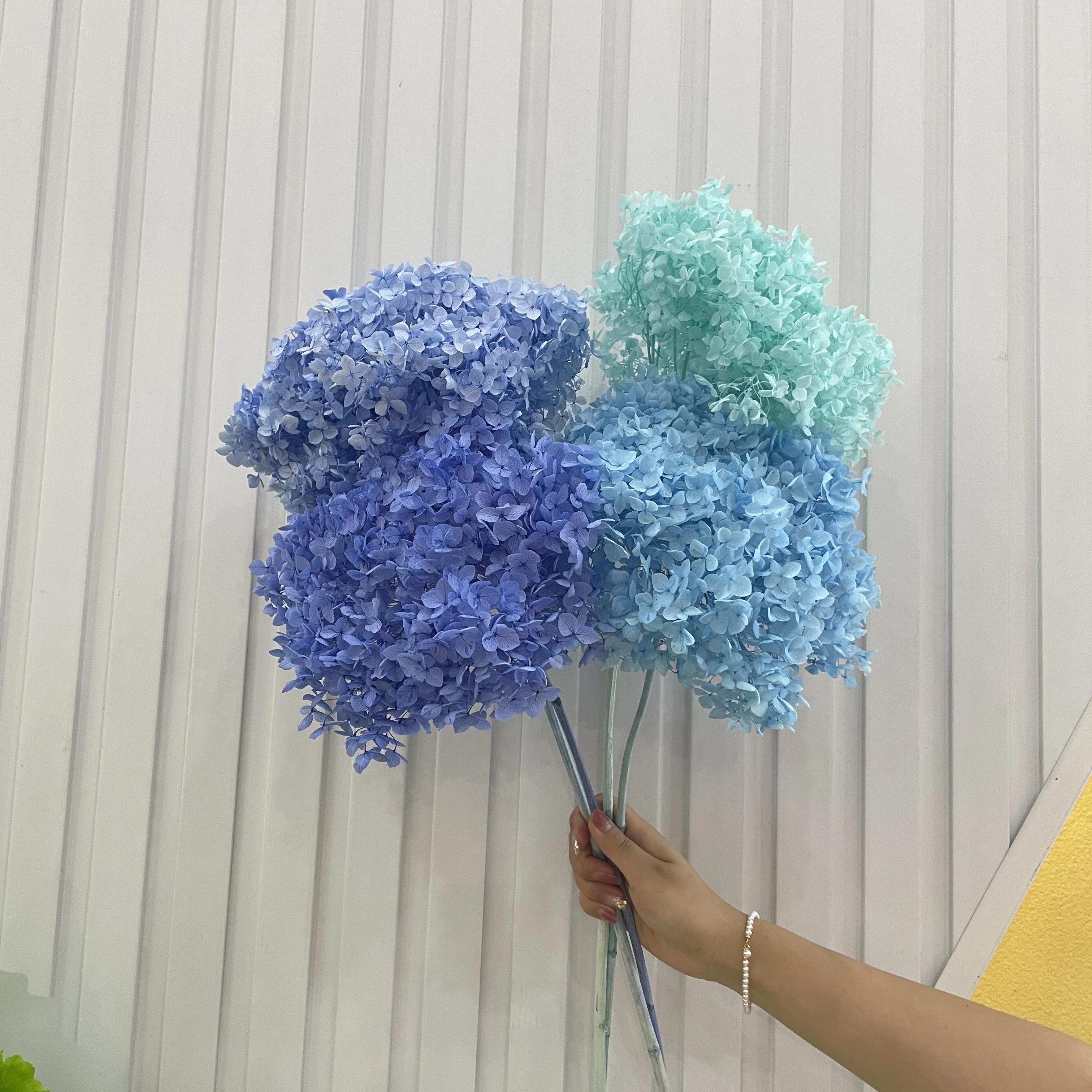 factory sales  preserved real dry good quality anna hydrangea wedding decoration