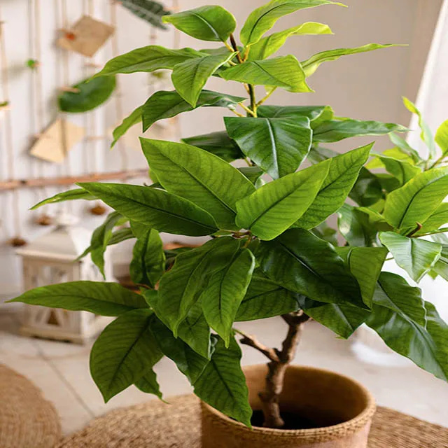 living room indoor floor decoration tree window decoration Large simulation green laurel tree  potted