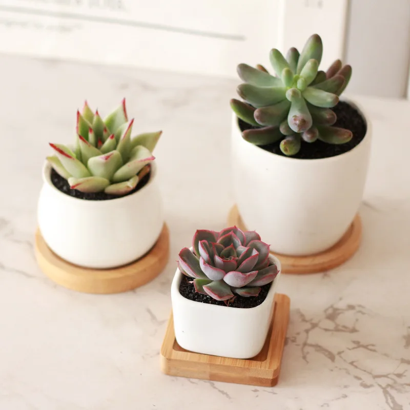 High Quality Cheap Ceramic Pots Succulent Small Flower Pot For Outdoor