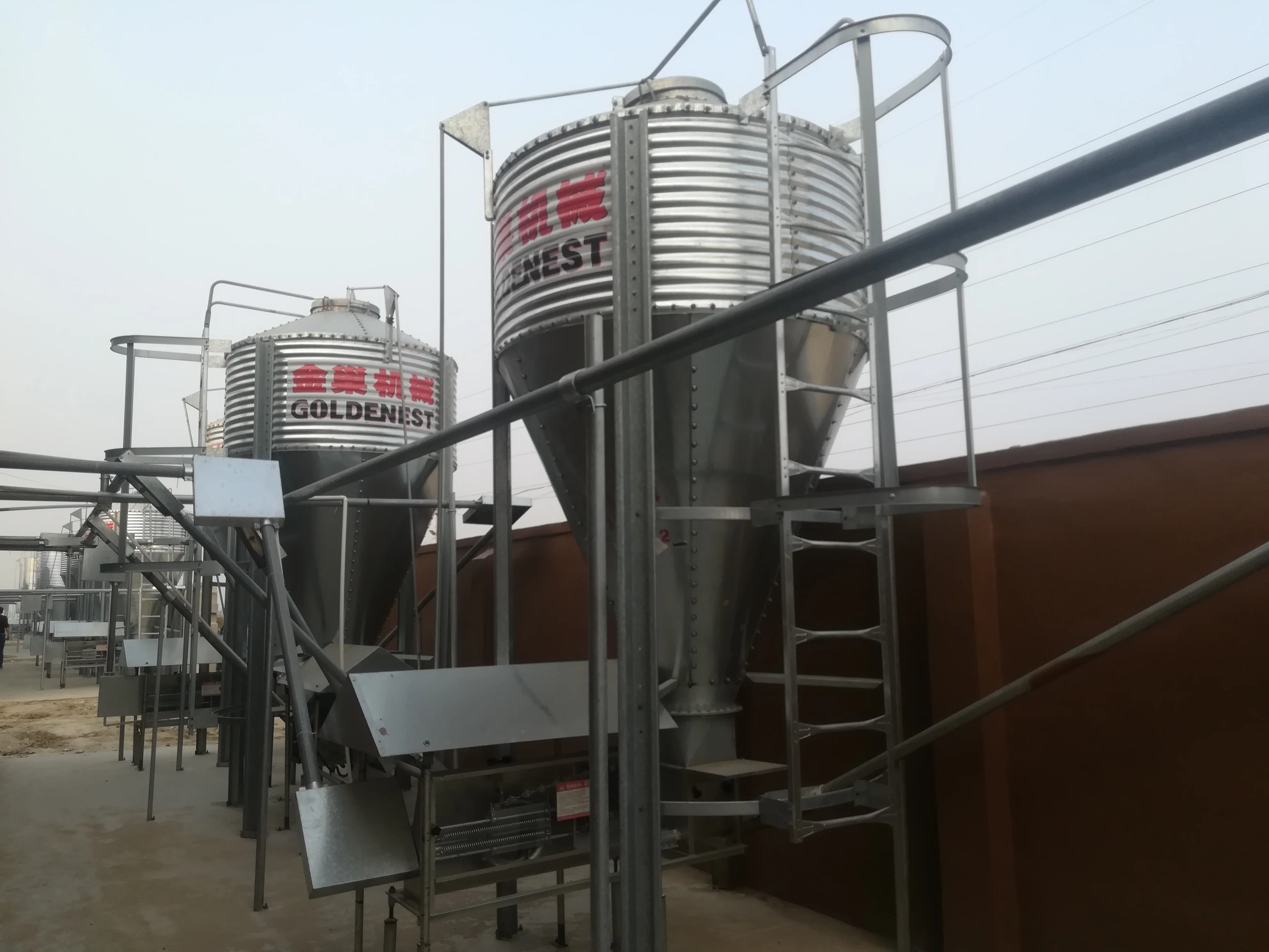 Goldenest pig chain feeding line/Pig rearing equipment