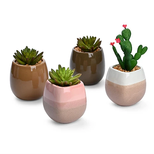 Decorative Modern Indoor Mini Small Ceramic Bonsai Succulent porcelain Plant Pot cactus Flower Pot