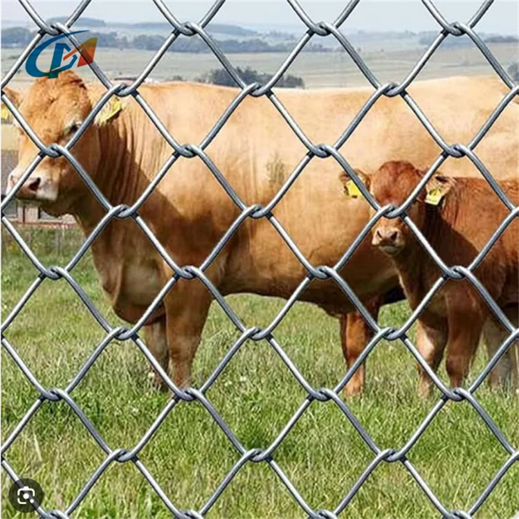 4 FT. X 50 FT. 9 Gauge Galvanized Chain Link Fence/ Black Chain Link Fabric/ Diamond Wire Mesh Fence