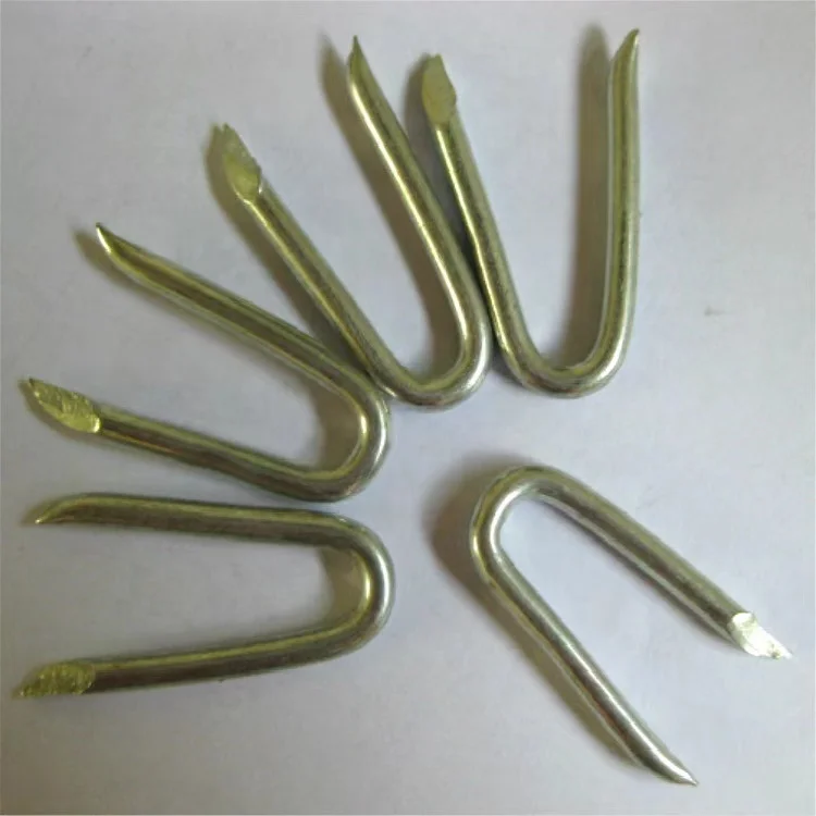 Galvanized U-shaped fence nail