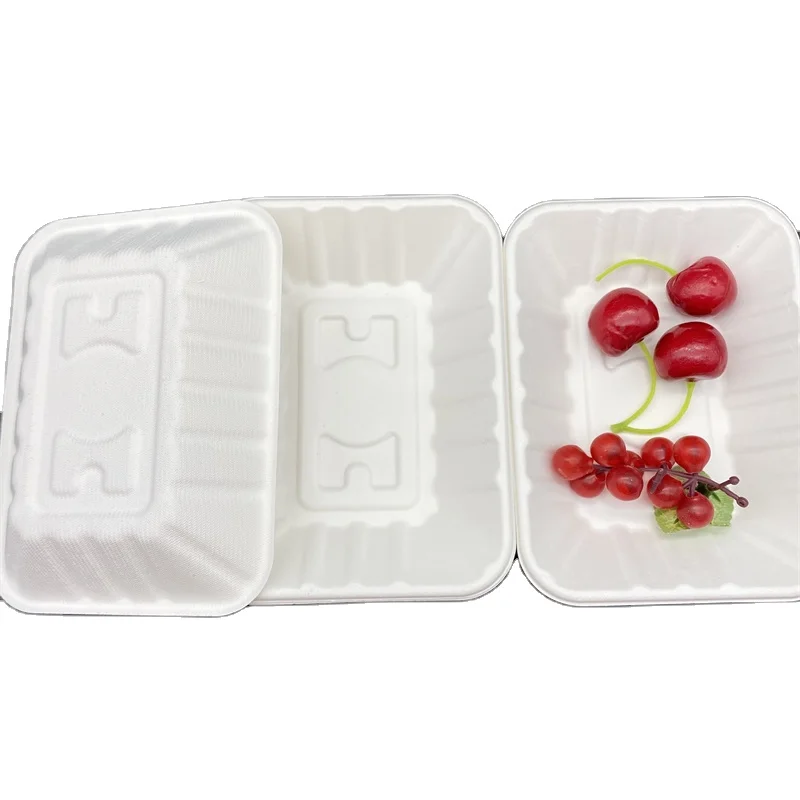 Eco friendly Biodegradable Bagasse pulp packaging Fruit Meat Frozen Food Paper Trays