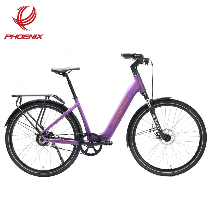 Phoenix Aluminum Alloy Frame Anti-Puncture Tire 350w E bike 27.5 City Bike Mid Central Motor Electric Bicycle