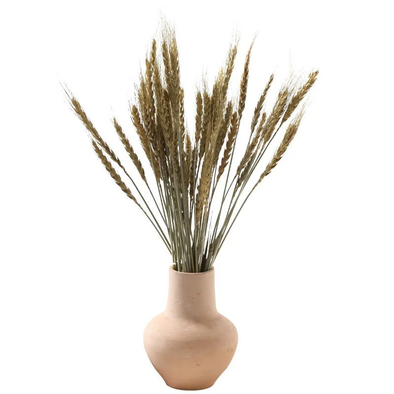 AYOYO OEM Best selling Dried wheat for home/wedding/park/school/party decoration colorful wheat wheat