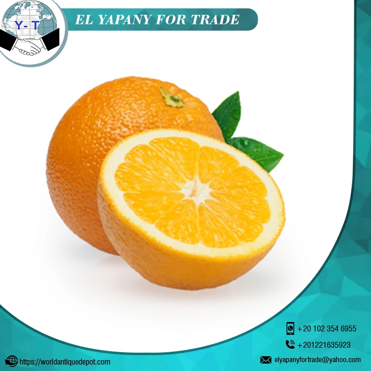 
Fresh Citrus Orange Fruit 