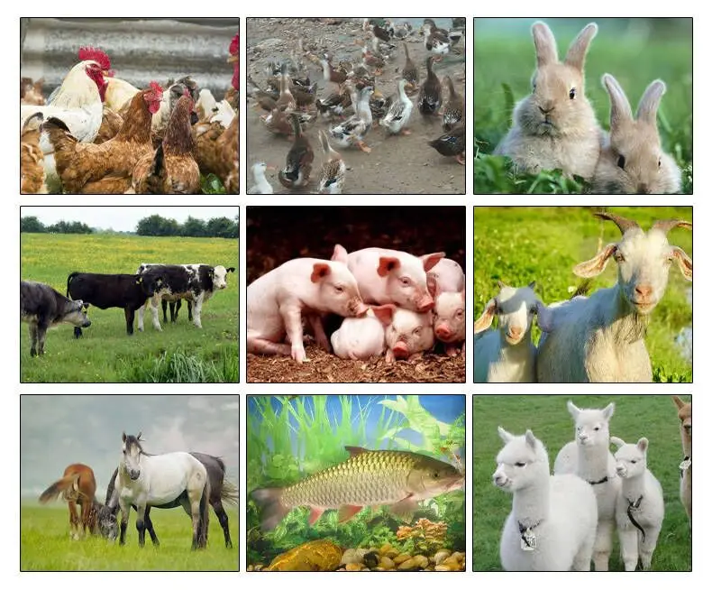 Electric farm diesel gasoline engine straw mini animal feed silage grass chopper cutting chaff cutter machine