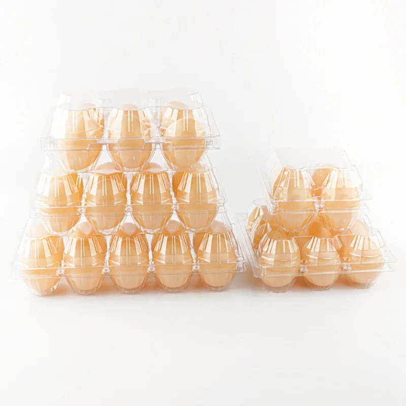 durable plastic eggs container pet box with lid  transparent manufacturer egg trays for sale