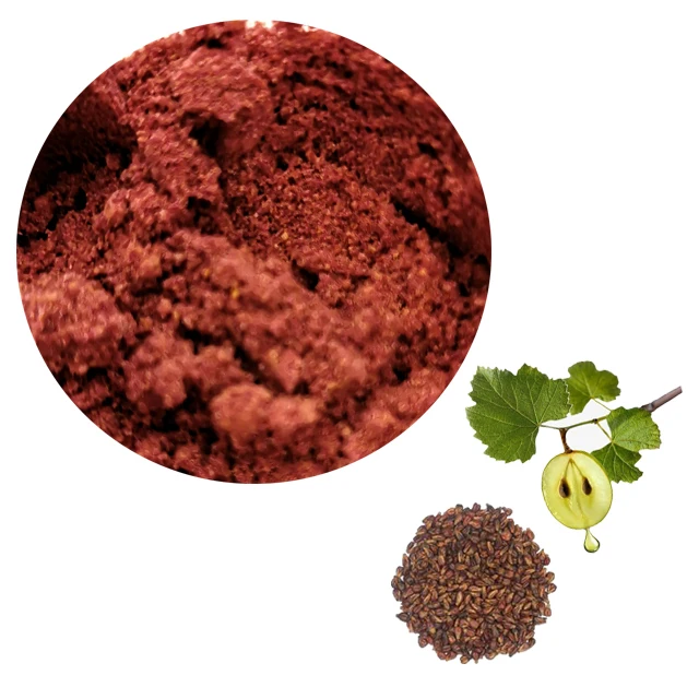 
Natural High Purity OPC 95% Grape Seed vitis vinifera extract powder 