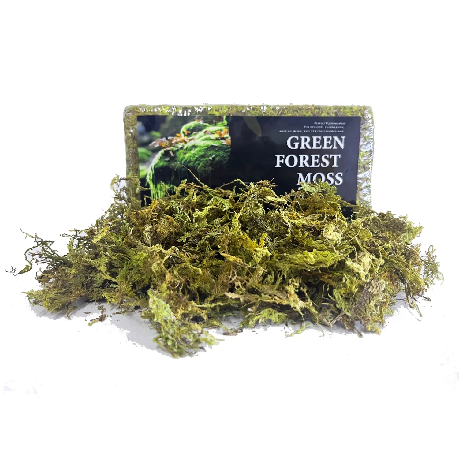 Wholesale Eco-Friendly Premium Natural Dried Green Sphagnum Moss Long Fiber Green Forest Moss For Reptile Plants