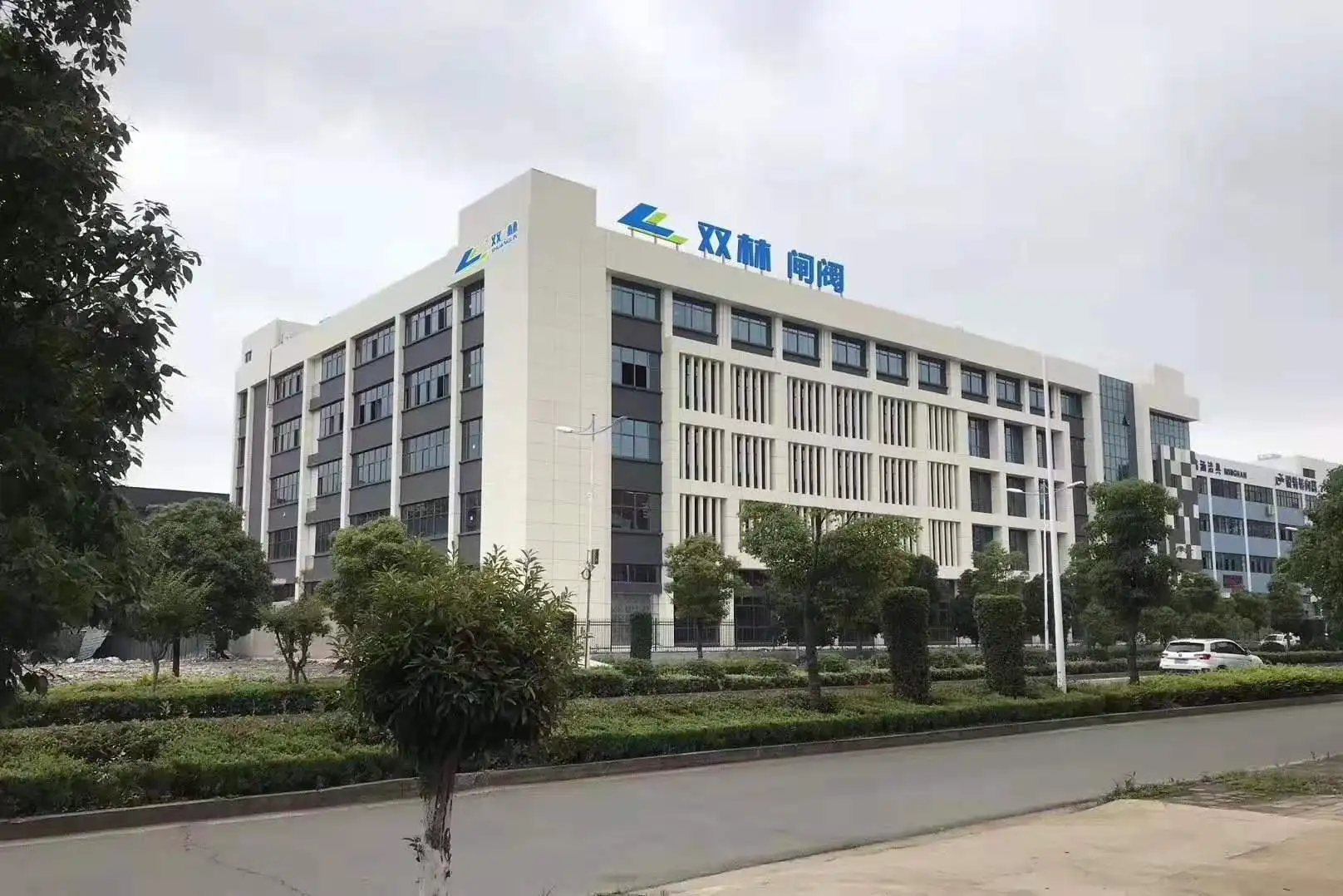 High quality factory wholesale DN15-DN50 PN16 Brass thread forged gate valve