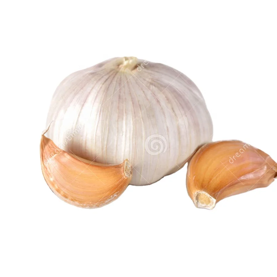 Big Garlic honan Agriculture seed companies onion and garlic storage santol