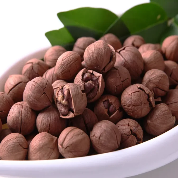 Whole sale of high quality pecan origin China