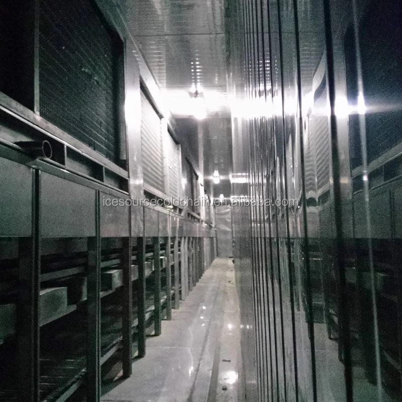 
1000kg/h Customized IQF Tunnel Freezer/Industrial IQF Blast Freezer for Fish/Shrimp/Seafood with CE/BV 